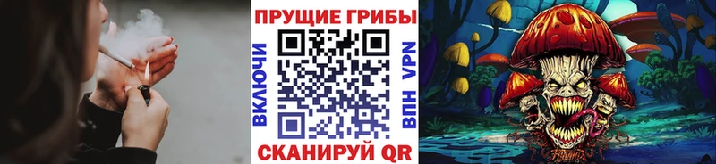 купить наркотик  ссылка на мегу маркетплейс  Псилоцибиновые грибы MAGIC MUSHROOMS  Навашино 